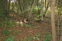 Eléments ferroviaire de la ligne 141